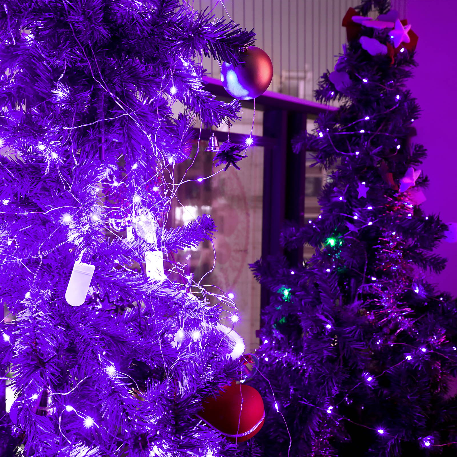 Best 7ft Purple Mini LED Fairy Lights 16 Pack for Sale OLAFUS